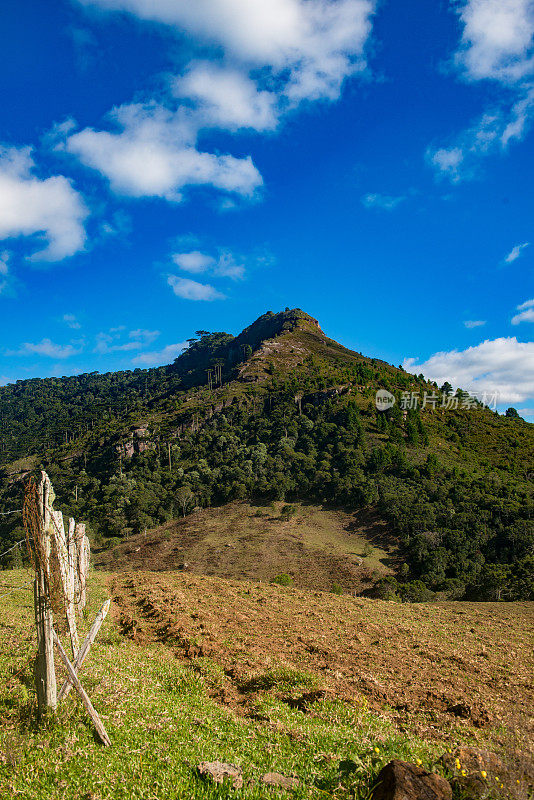 Urubici, Santa Catarina，巴西- araucarias，田野和山脉